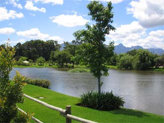 winelands102